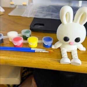 3D Bunny Paint Set